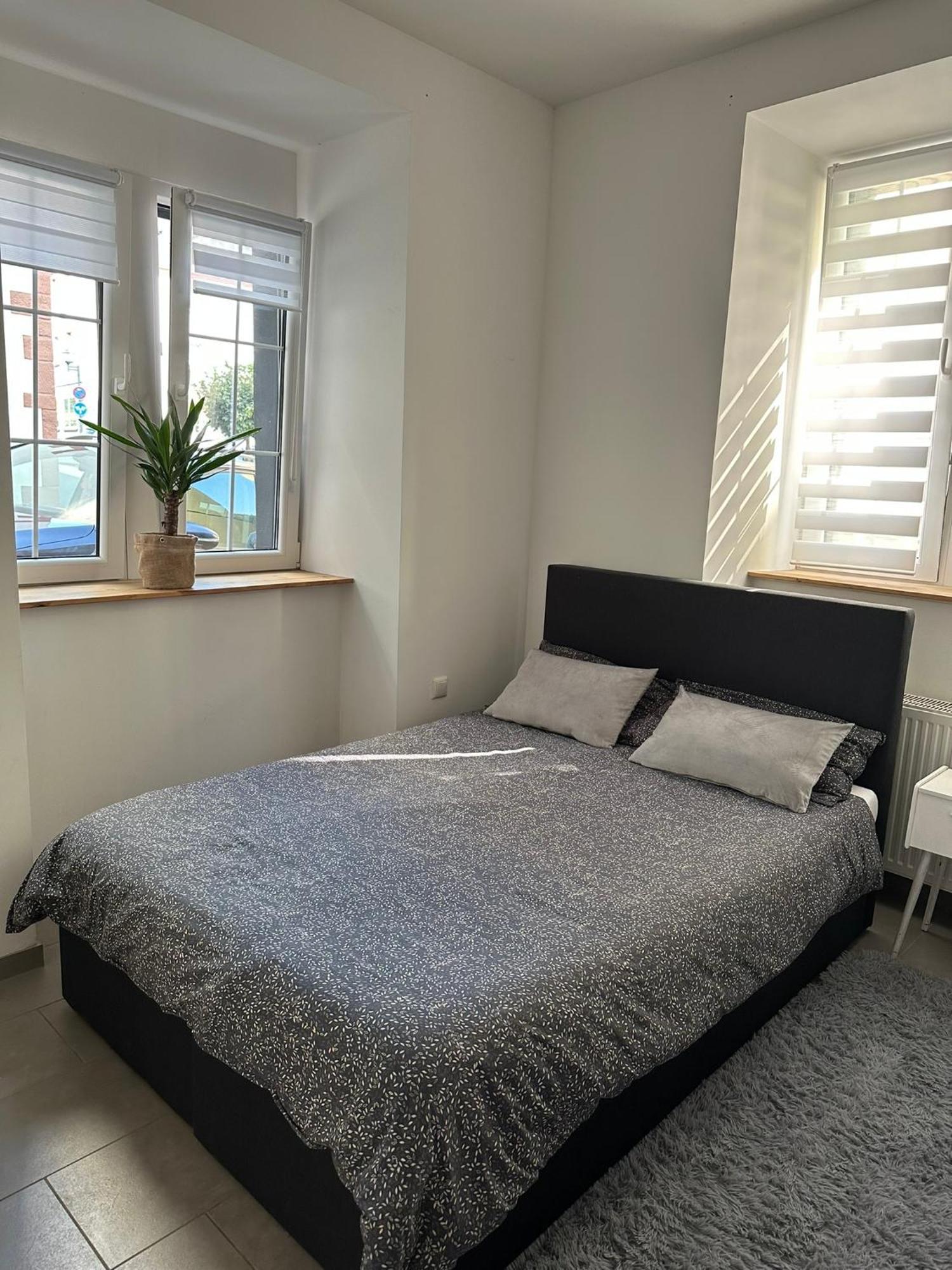 Apartment Louis